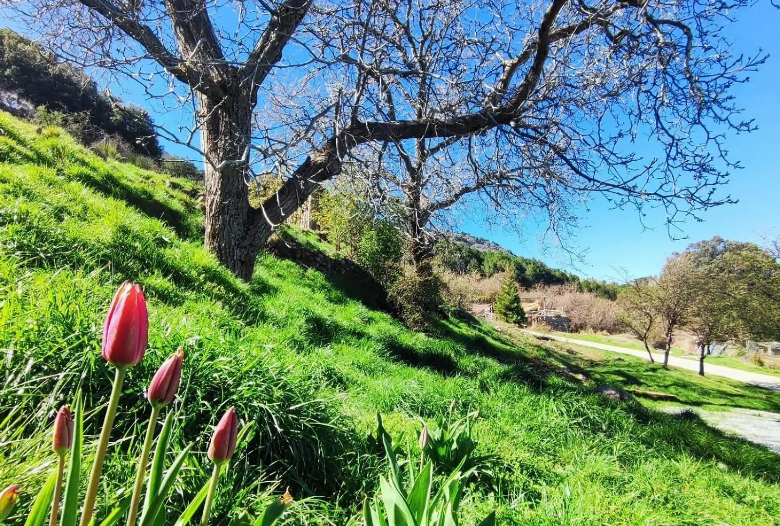 Country house Refugio Del Aguila 