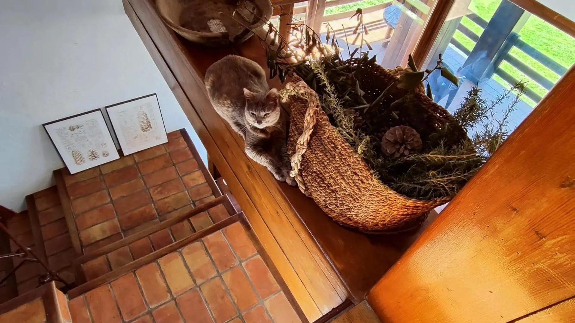 Country house Refugio Del Aguila 